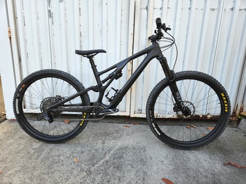 2021 Specialized Stumpjumper EVO Carbon 