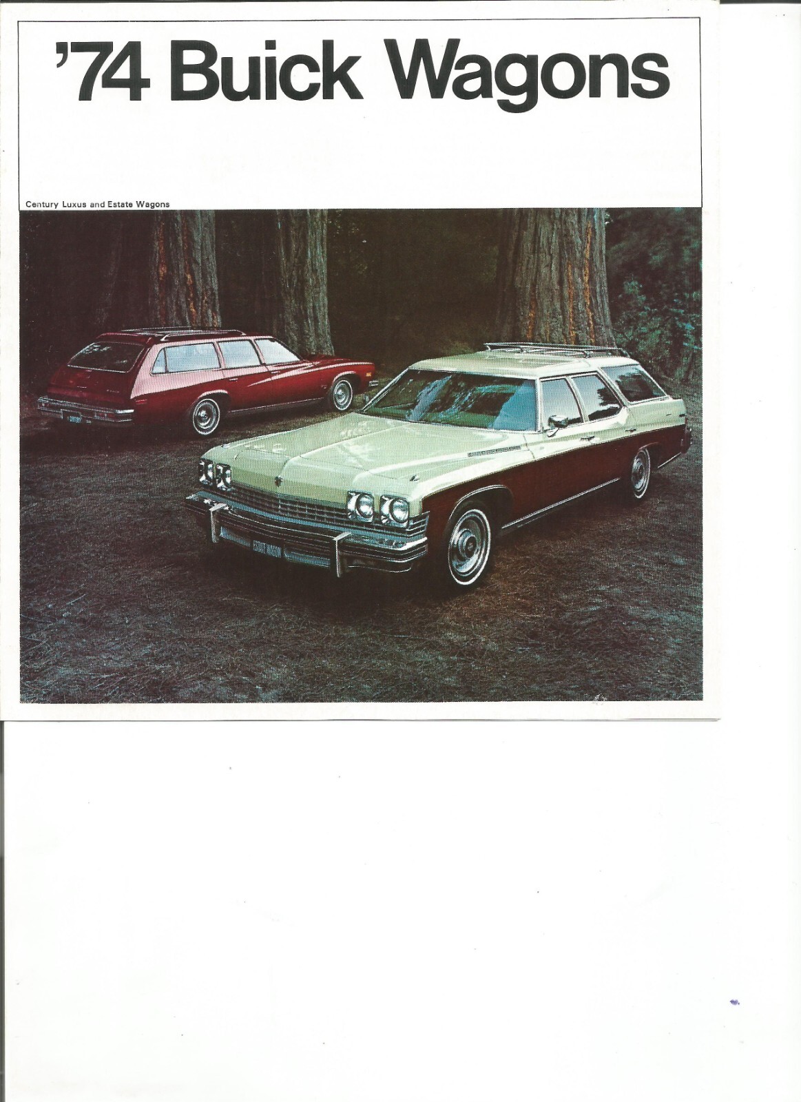 Auto World 1:64 Premium 2019 Release 2 Version B - 1974 Buick Estate Wagon (Cinnamon Poly/Wood Grain) - M & J Toys Inc. Die-Cast Distribution | Specializing In Die-cast Collectibles Since 1987 - Foto 4