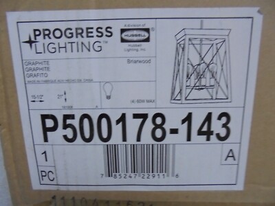 Progress Briarwood Collection 15-1/2 in. 4-Light Black with Grey Wood Pattern