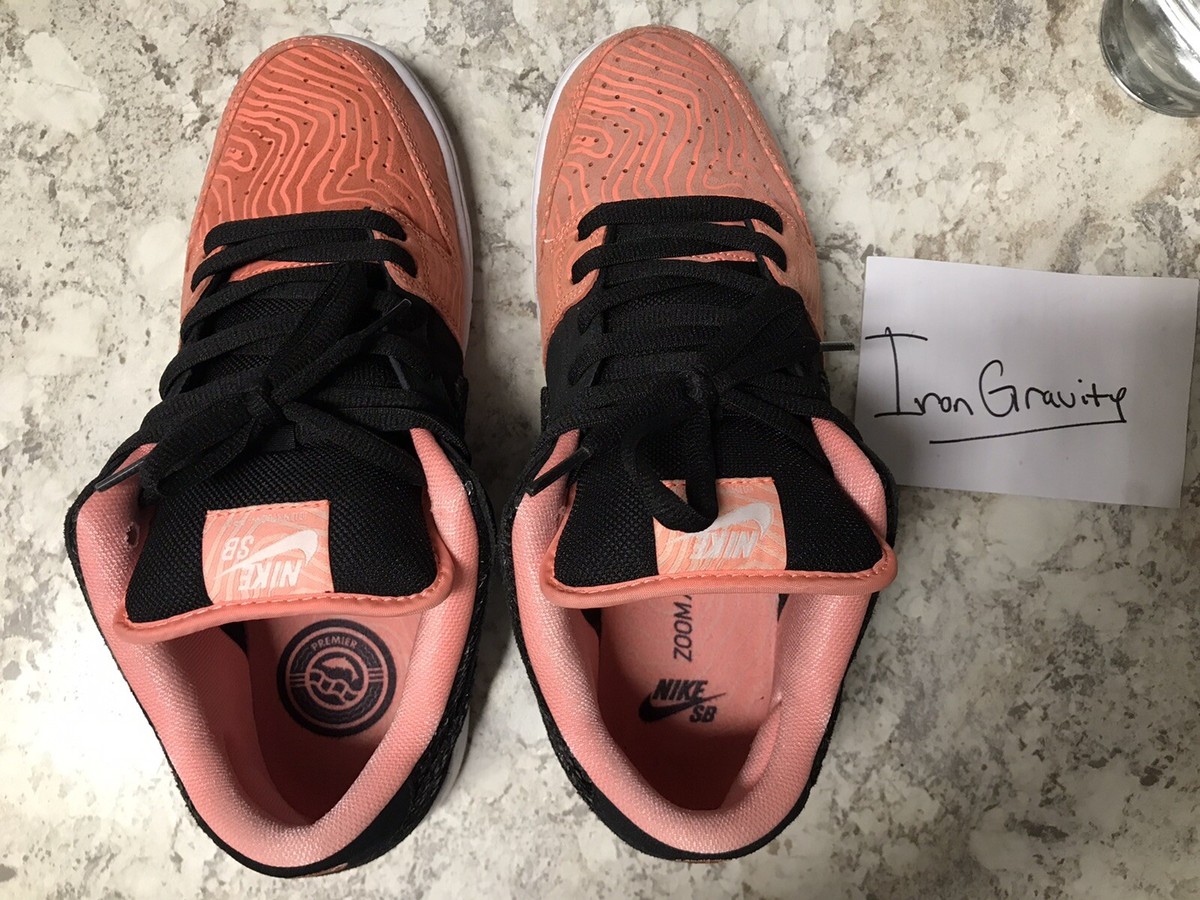 Premier x Nike SB Dunk Low Fish Ladder Salmon Toe Size 10 | eBay