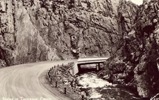 RPPC -Scene in Thompson Canon - Colorado Postcard Sanborn Photo