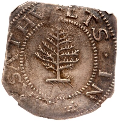 1652 Noe-1 NGC MS 62 Pellets Massachusetts Pine Tree