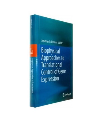 Biophysical approaches to translational control of gene expression