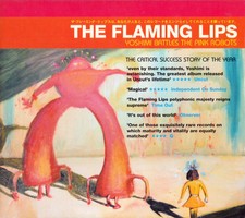 USED: The Flaming Lips - Yoshimi Battles The Pink Robots (CD, Album, Car) - grad