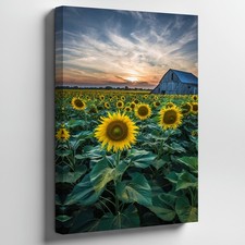 Vast Sunflower Field Stretches Across The Landscape, With Wall Art Canvas Print