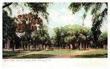 New Haven Green New Haven CT C1900s UDB Postcard AG25