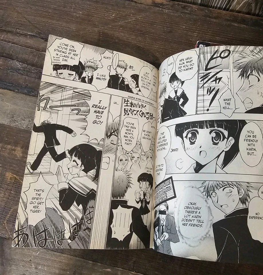 CHIBI VAMPIRE Vol 1-13 Serie MANGA Set Yuna Kagesaki INGLÉS Usado  Foto 4 de 4