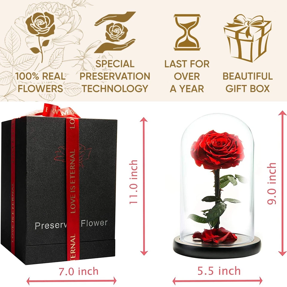 Preserved Rose in Glass Dome Eternal Enchanted Forever  - Infinity Rose  - - Image 3 of 4