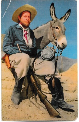 Prospector and Burro 1950s Postcard by Bob Petley K211 Western Rugged  Mountains