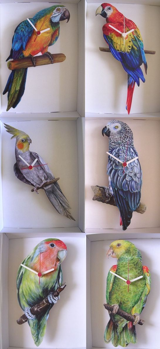 PARROT BIRD WALL DESIGNS TO CHOOSE