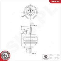 Esen SKV Lagerung, Motor 75SKV332 FüR Ford