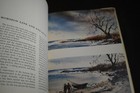 Picture 10 of 12