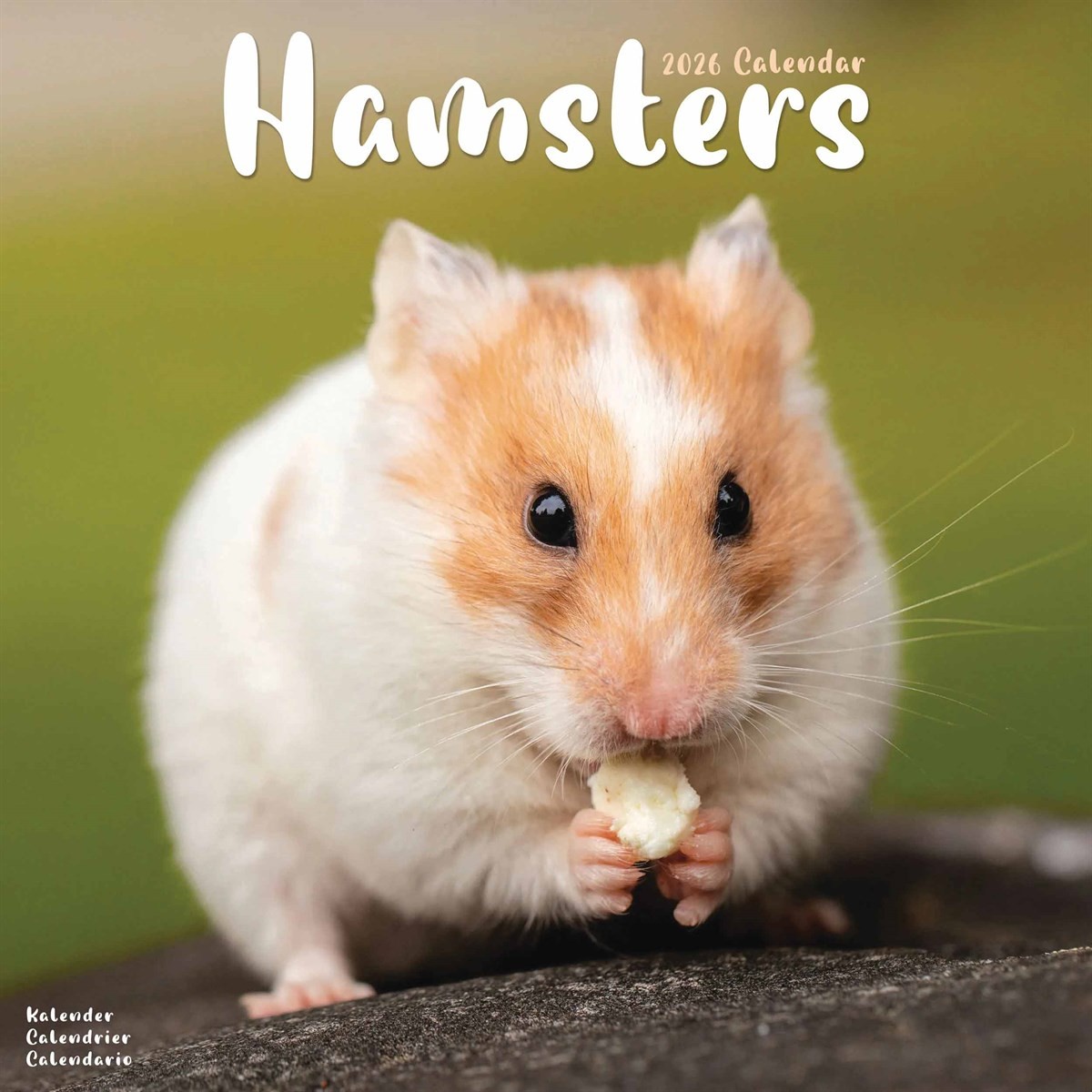 Hamsters Calendar 2026, Wall Calendars, Month To View, Animals, Gift