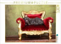 Calvendo Puzzle Weimaraner Puppy | 1000 Pieces, Finished Size 25.2 × 18.9 In (64