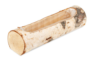 NaDeco Birkenstamm Pflanzenschale 29cm, Birkenstamm zum bepflanzen Pflanzschale 