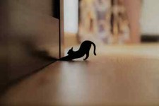 home made wood cat door stopper