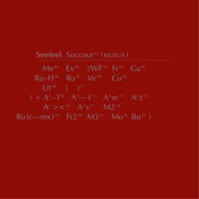 Seefeel Succour (Redux) (Schallplatte) Expanded  12'' Album Box Set