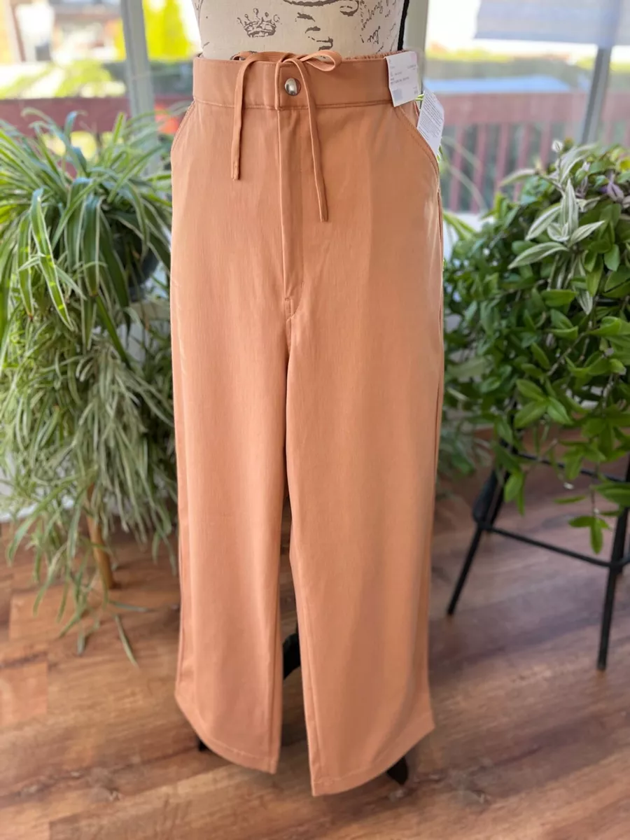 Uniqlo U x Christophe Lemaire Wide Fit Twill Jersey Pants | eBay