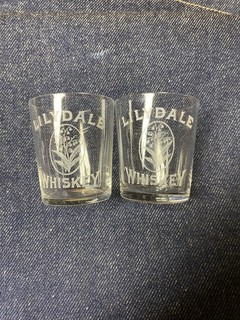 RARE Antique Pre Pro Lilydale Whiskey Etched Thin Walled Shot Glass Floral Decor