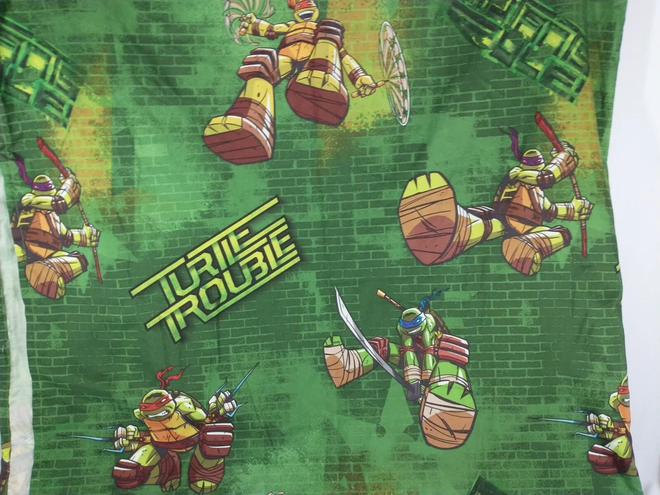 TMNT Doble Hoja Plana Tortugas Verdes Problemas de Tortuga Limpio Bonito Nickelodeon Foto 2 de 4