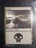 Swamp (295) Commander 2019 Regular