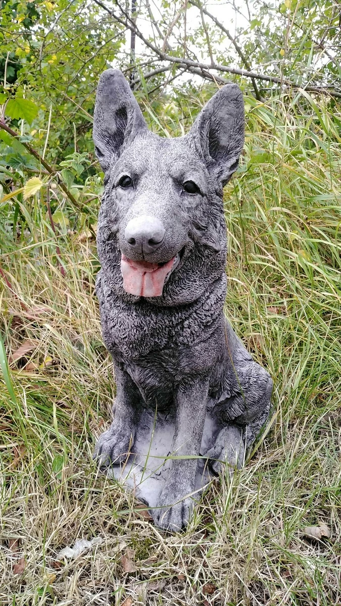 Why Do Dogs Play With Stones