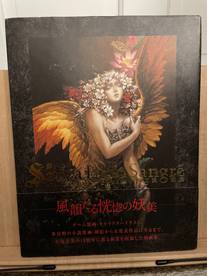 Santa Lilio Sangre Ayami Kojima Castlevania