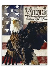 American Bald Eagle USA Flag Vintage Patriotic Art Poster