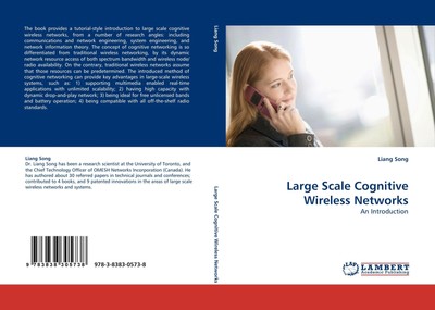 Large Scale Cognitive Wireless Networks Liang Song