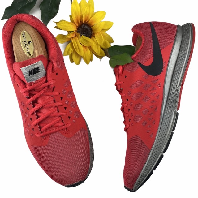 nike pegasus id