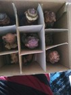 Bild 2 von 5