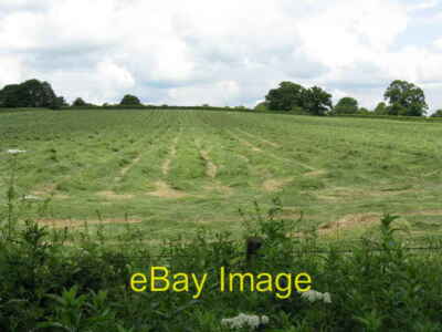 Foto 6x4 Gras für Silage Poolbrook Schnittgras wartet Abholung auf schwarz c2008