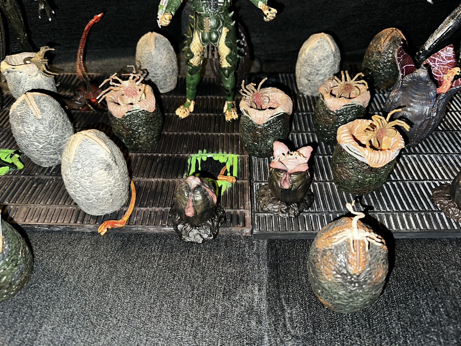 Picture 14 of 24