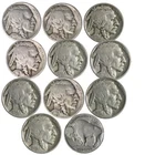 Short Set 1919 - 1929 P BUFFALO NICKELS (10 COINS) NATIVE AMERICAN LOT!!