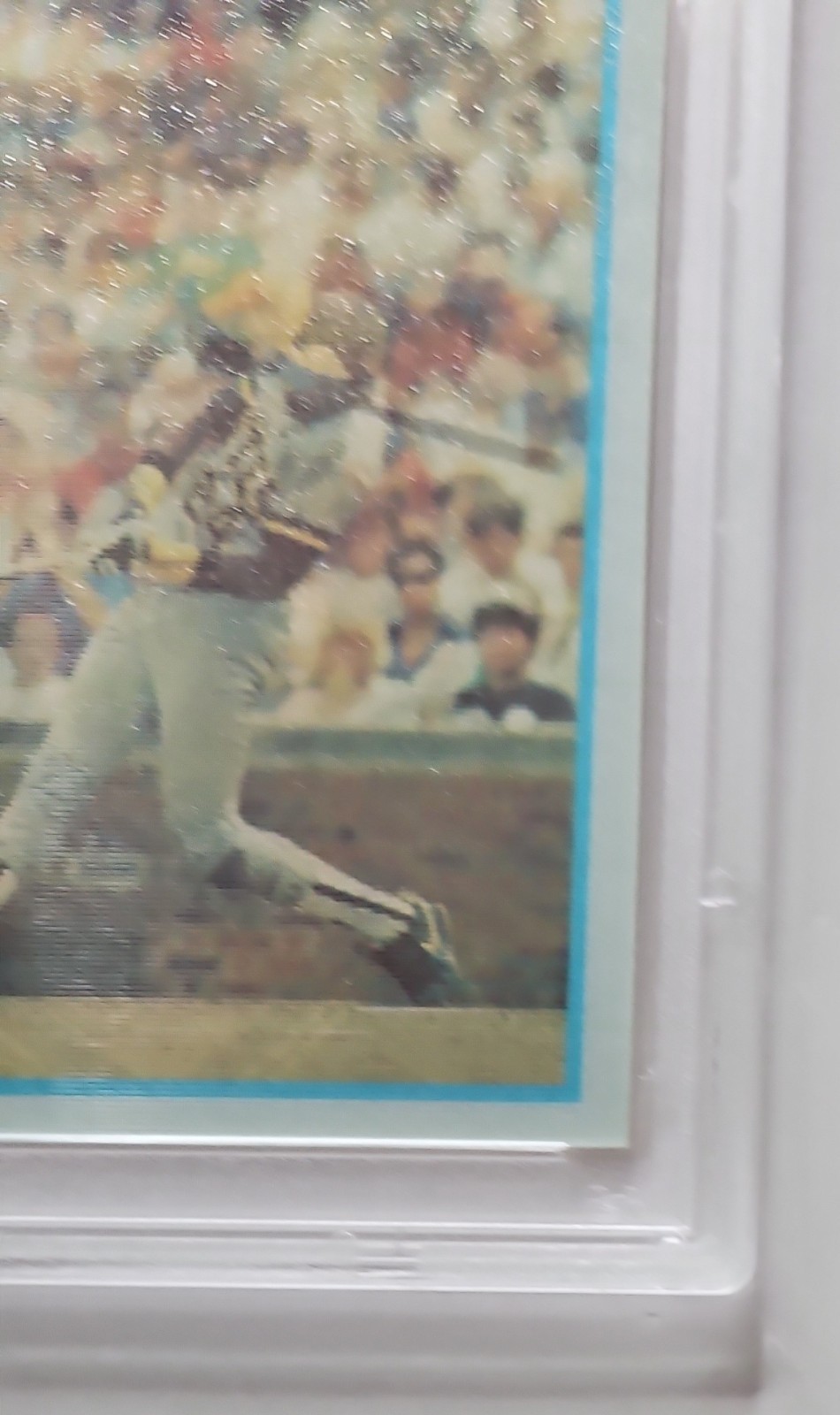 1986 SPORTFLICS ROOKIE #13 BARRY BONDS PITTSBURGH PIRATES PSA 8 NM - MINT RC 💰 view 6