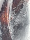 Bild 22 von 23
