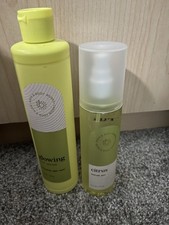 Bath And Body Works Glowing Fruit Enzyme Citrus Body Wash Perfume Mist Set