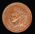 1889 Indian Head Cent – XF Detail – Nice Eye Appeal – RB Color Strong Details