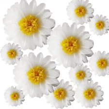 Daisy Tissue Paper Pom Poms, Floral Hanging Decorations, 12 and 8 Inch Assort...