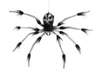 INNA-Glas Deko Halloween Horror Spinne Valkyrie, 60Cm, Ø80Cm