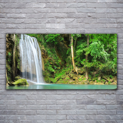 Acrylglasbilder Wandbilder aus Plexiglas  120x60 Wasserfall Wald Natur