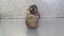 Bild 3 von 10