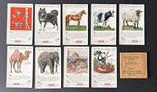  on The Hot Collector