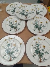 Villeroy Boch Botanica Speiseteller 26,5 cm Preis Pro Teller Sehr Gut Erhalten