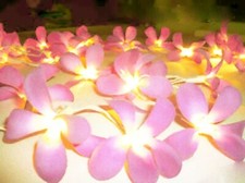 20 Pink Frangipani Flower LED Fairy Light battery power table runner tropical