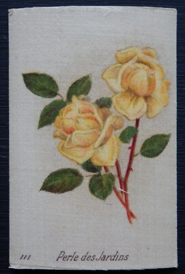 PERLE DES JARDINS British Roses von British American Tobacco 1924 SEIDE