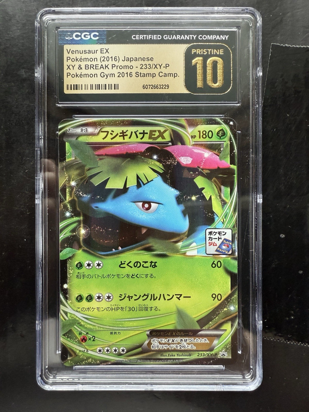 Pokemon Venusaur EX Promo Holo Stamped 233/XY-P Gym Japanese CGC 10 Pristine