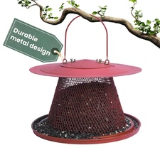 Durable Wild Bird Feeder - 2.5 lb Capacity - Feed up to 15 Birds at Once - Re...
