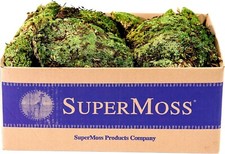 SuperMoss 21881 Royal Pool Moss Preserved, Fresh Green, 3lbs 6-2B 