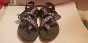 trace eclipse chacos